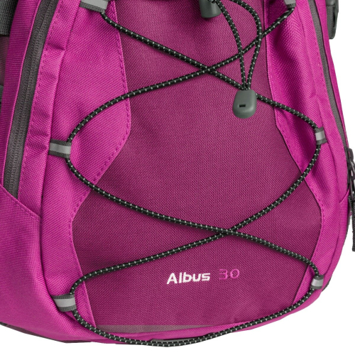 Trespass Trespass 30L Backpack Rucksack for Hiking Albus 2