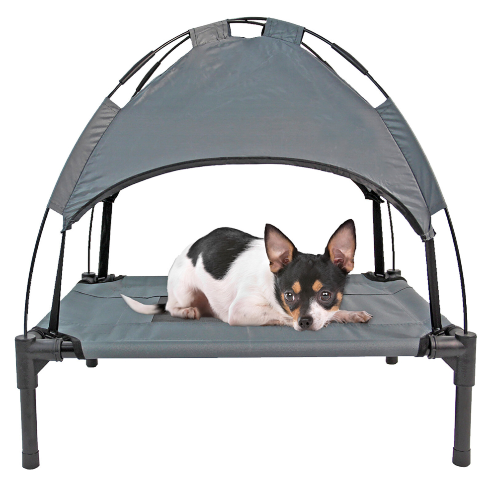 Actiaspet Small Elevated Dog Bed With Canopy Cover Grey