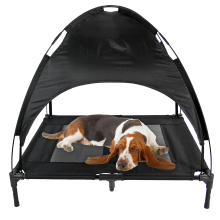 Elevated Dog Bed Raised Cot with Canopy Cover (L)
