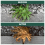 Weedblast RootKill Glyphosate 360g/L Weedkiller 1L JCB Sprayer 5L 5