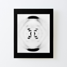 Canvas Print Only Rosalind Franklin's B-Form x-ray of DNA, 1952, Diffraction Photo Poster Wall Art Room Decor 16x20 inch No Frame