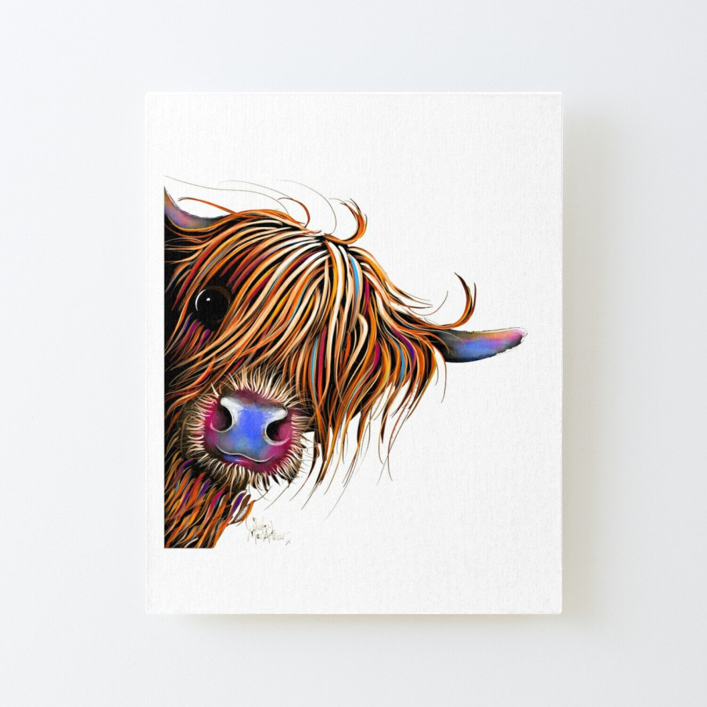 Canvas Print Only HiGHLaND CoW SCoTTiSH ' SuGaR LuMP ' BY SHiRLeY MacARTHuR Poster Wall Art Room Decor 16x20 inch No Frame