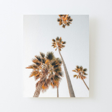 Canvas Print Only Palm City, Photograph of Palm Trees Poster Wall Art Room Decor 16x20 inch No Frame