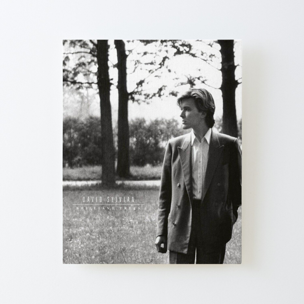 Canvas Print Only DAVID SYLVIAN - BRILLIANT TREES Poster Wall Art Room Decor 16x20 inch No Frame