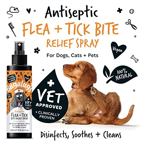 Bugalugs Insect Bite Relief Antiseptic spray for dogs 200ml, puppy ...