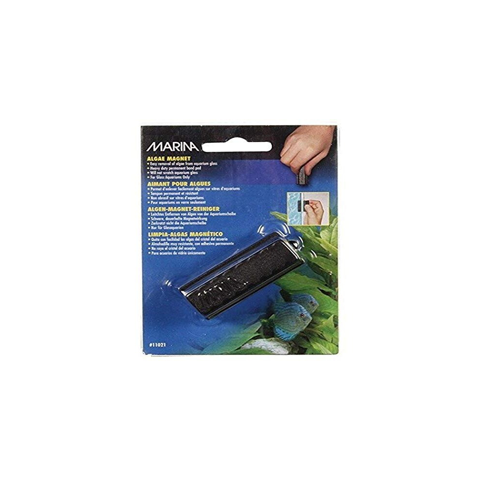 Marina Algae Magnet, Small, Black