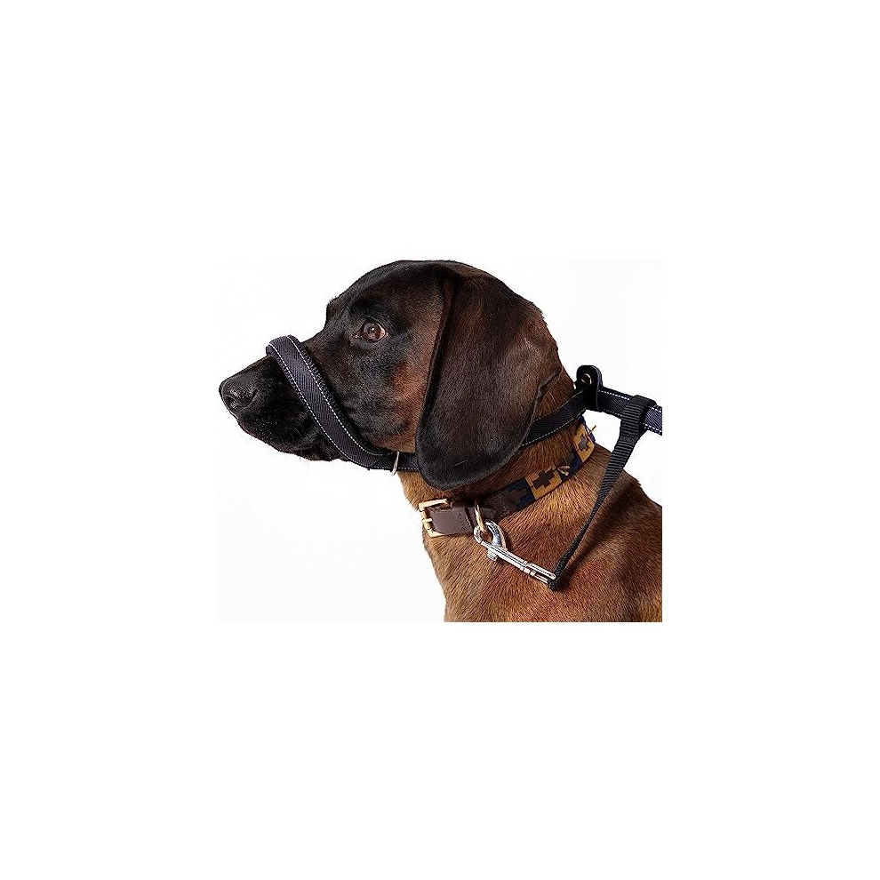 Total Pet Figure Of 8 Dog Lead - Flat Anti Pull Stop Dogs Pulling ? Slip Leads Reflective With Padded Nose Support (210Cm)