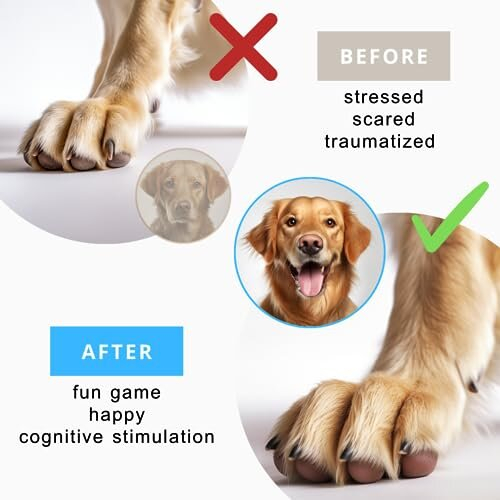 Dog Scratch Pad for Nails – WHDPETS Anxiety Free Dog Nail Trimmer with  Treat Box- Adjustable Scratch