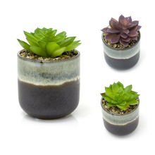 Ombre Glaze Artificial Succulent Potted Plant | Faux Plant And Planter Synergy Grey Succulent Pot | Fake House Plant Home Decor - Colour Varies One Su