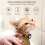 (Pink) Cats Collar with Waterproof Holder Small Dogs GPS-Tracker Collar 7
