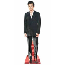 Harry Styles Red Shoes Lifesize Cardboard Cutout 182cm