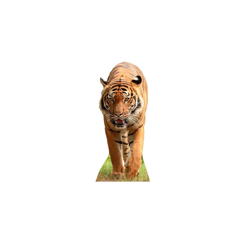 Star Cutouts Tiger Lifesize Cardboard Cutout - 130Cm