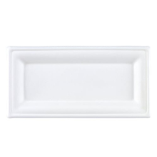 White Rectangular Compostable Bagasse Plates 26cm - Pack of 25