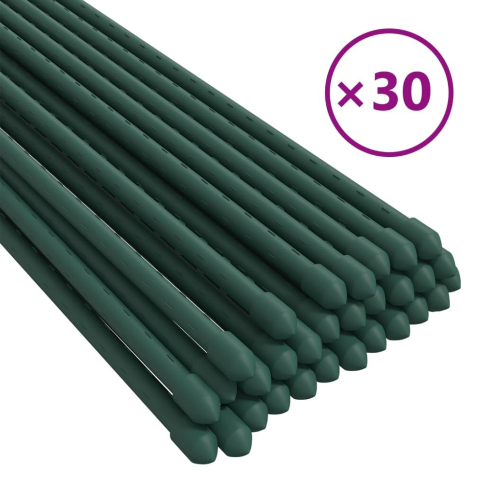 Photos - Other Garden Equipment VidaXL   30x Garden Plant Stakes Green Steel Garden Flower Support Multi Sizes 319368 (90 cm)