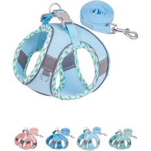 Dog Harness for Small Medium Dogs No Pull, Puppy Harness and Leash Set, Easy Walk Dog Harness for Walking, Running, Training (Light Blue, XS)