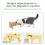 Bingopaw Raised Dog Bowl - Adjustable Bamboo Elevated Dog Bowls with Stand 6