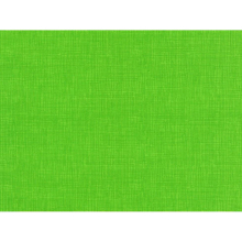 (Spring) Timeless Treasures 100% Cotton Poplin - per metre