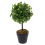 (Black) Artificial Topiary Ball Tree Boxwood Plants in Pot 1
