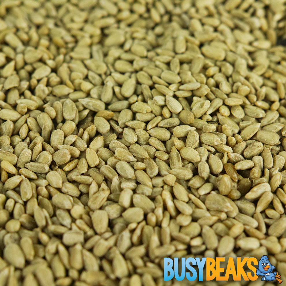 Busybeaks Sunflower Hearts - Kernels Bird Seed Bakery Grade Food (7.5Kg Black