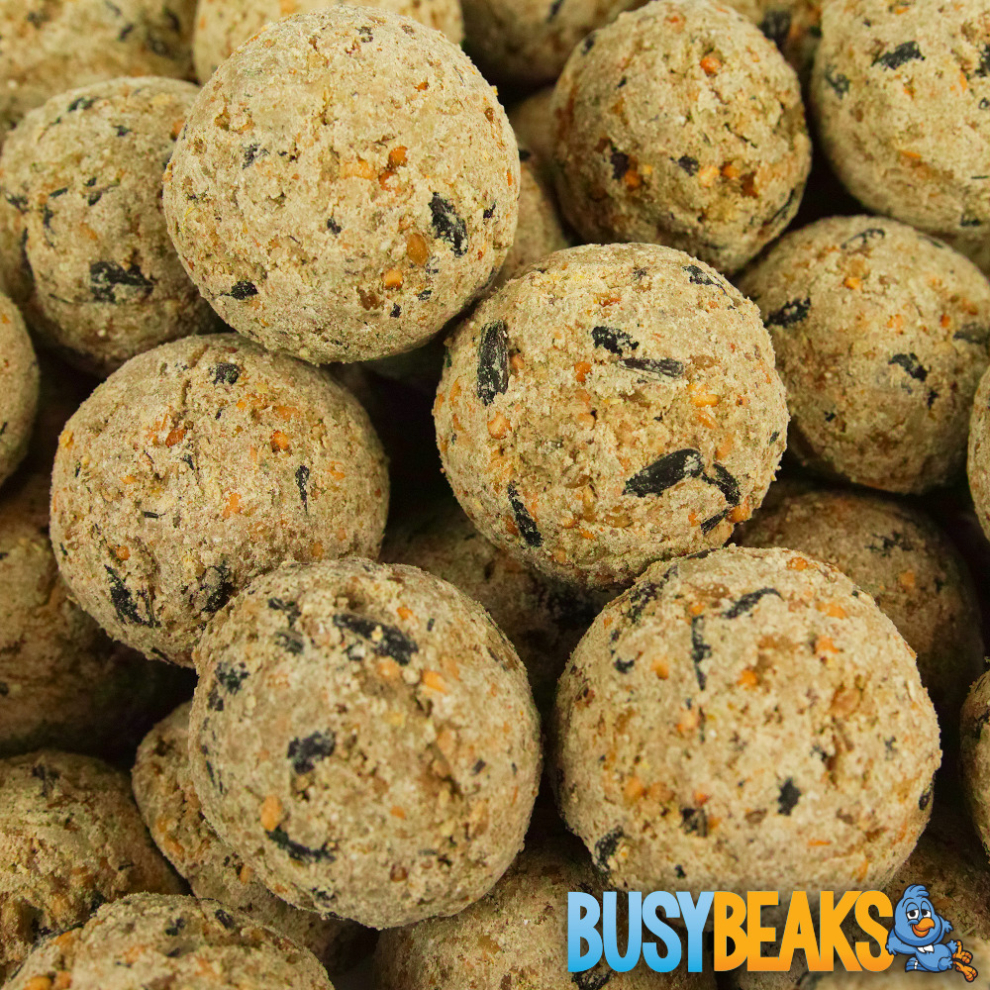 BusyBeaks Suet Fat Balls (50 Pack)