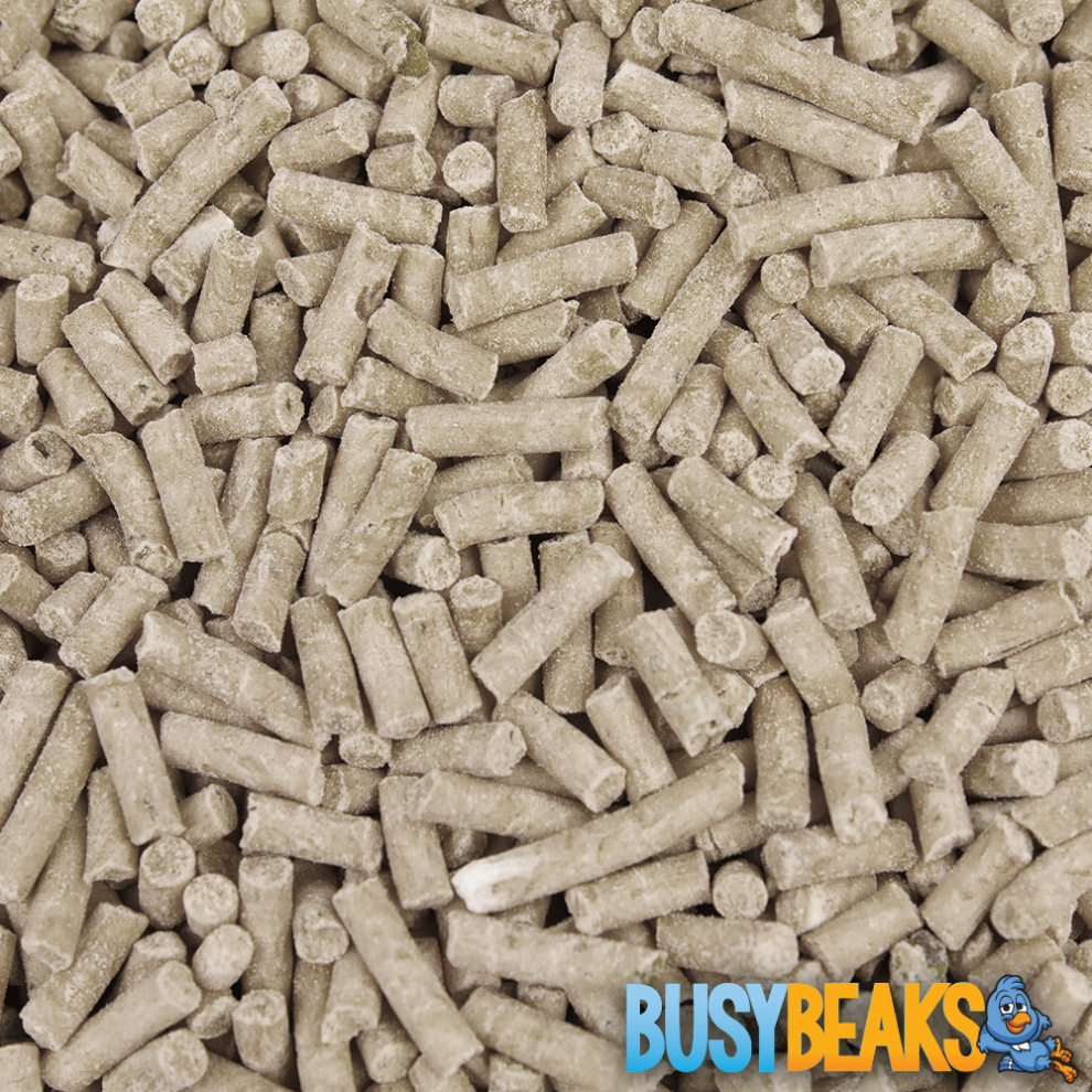 BusyBeaks Mealworm Suet Pellets - High Quality Feed Wild Garden Bird Food