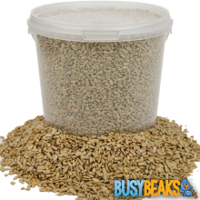 BusyBeaks Sunflower Hearts - Kernels Bird Seed Bakery Grade Food (2.5L)