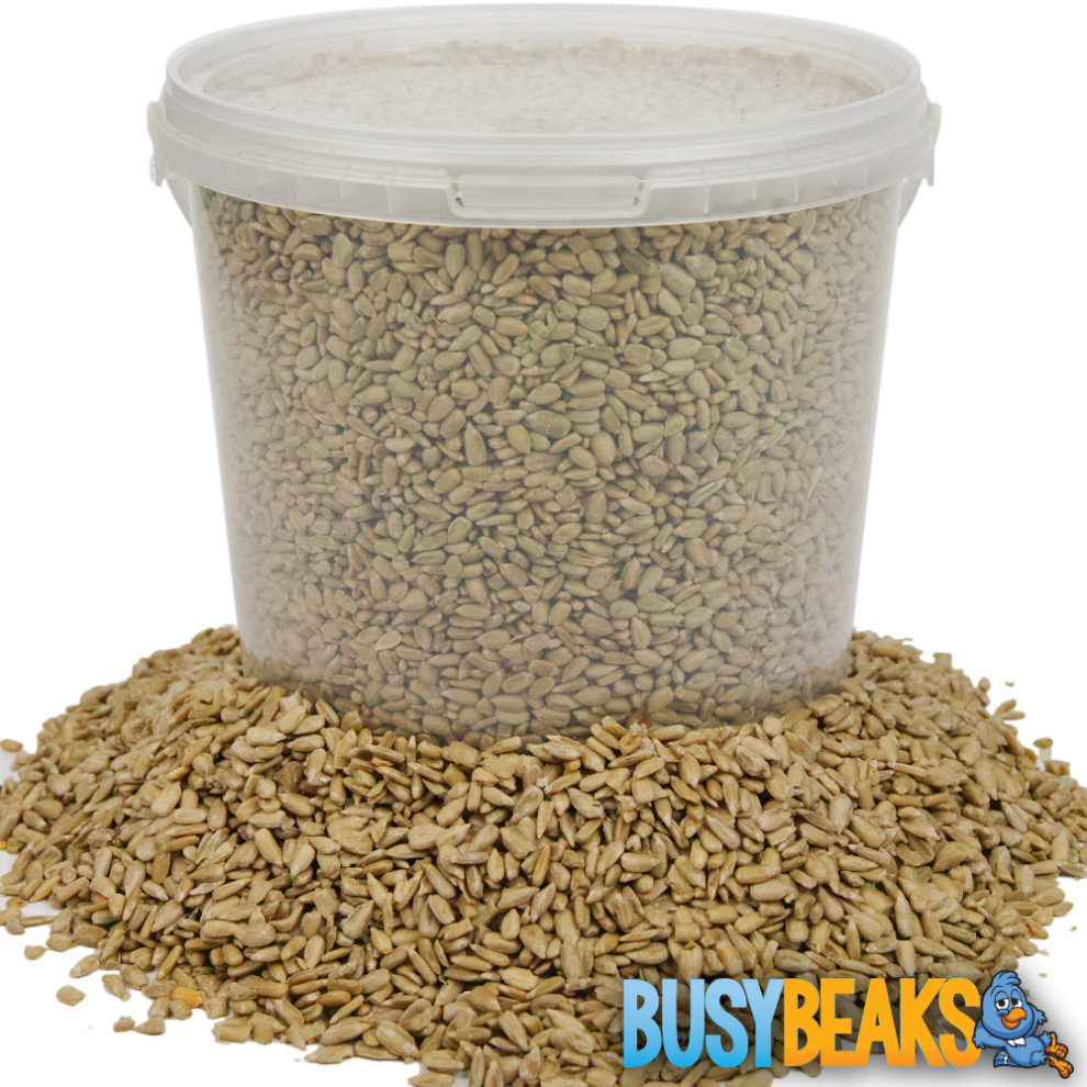 BusyBeaks Sunflower Hearts - Kernels Bird Seed Bakery Grade Food (2.5L)