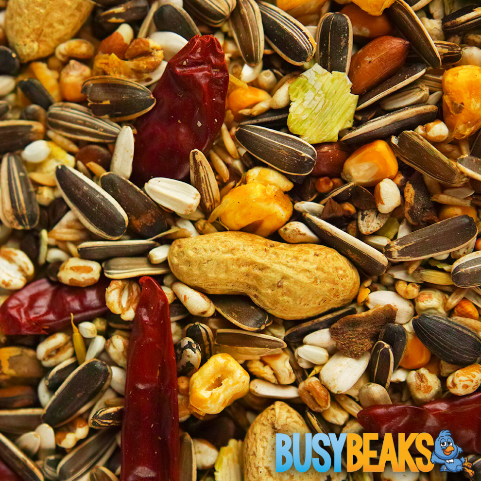 Busybeaks African Grey Parrot Food - High Energy Bird Nuts Seeds Oats Feed Mix