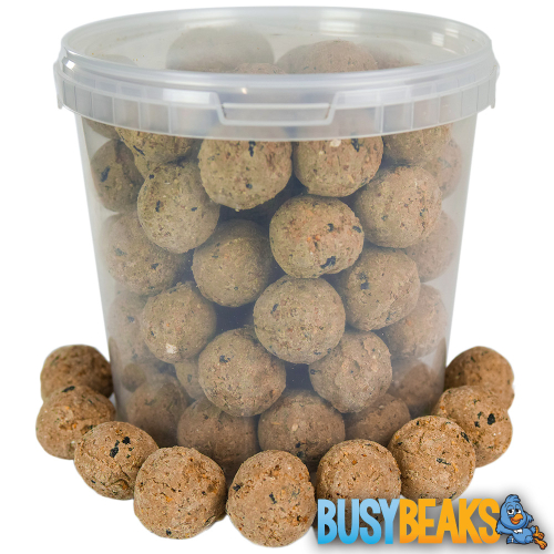 BusyBeaks Suet Fat Balls (5L)