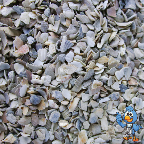 BusyBeaks Hen Sized Oyster Shell (2.5L) 2
