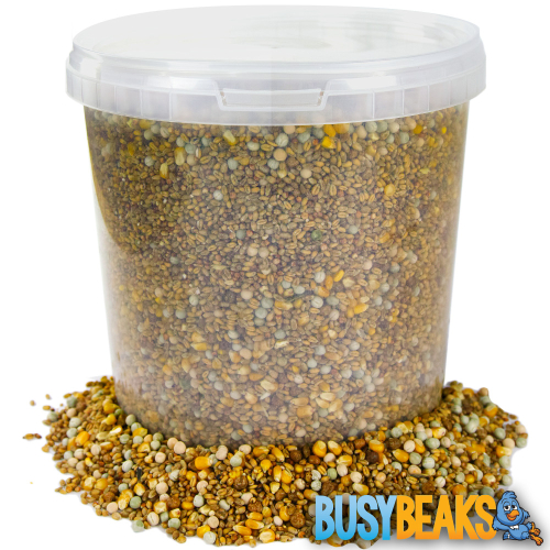 BusyBeaks Four Seasons Pigeon Corn (1L) 1