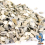 BusyBeaks Hen Sized Oyster Shell (2.5L) 4