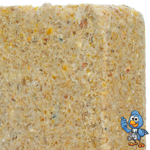 BusyBeaks Suet Blocks (Peanut, 1) 1