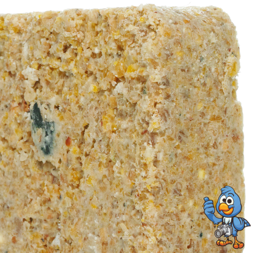 BusyBeaks Suet Blocks (Mealworm, 10)