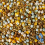 BusyBeaks Four Seasons Pigeon Corn (1L) 3