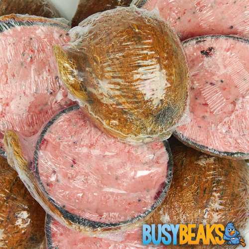 BusyBeaks Berry Suet Filled Coconut Halves (5 Pack)