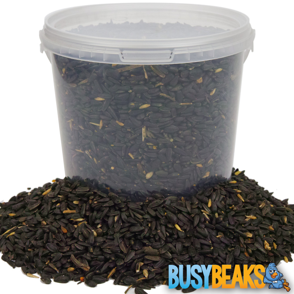 BusyBeaks Black Oil Sunflower Seeds - Oil Rich Feed Wild Garden Bird Food