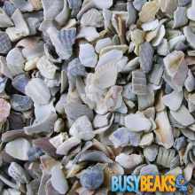BusyBeaks Hen Sized Oyster Shell (5kg)