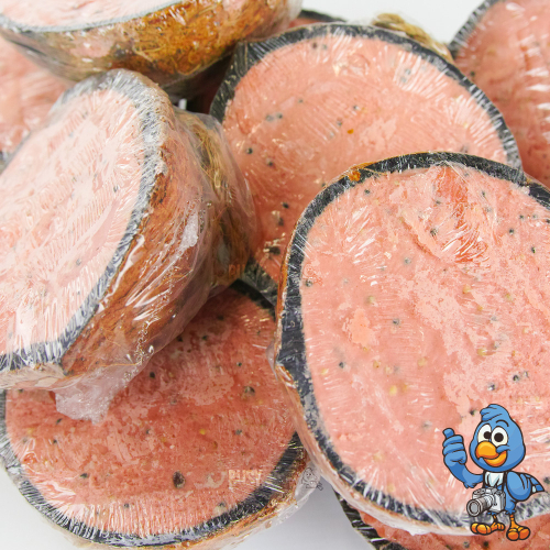 BusyBeaks Berry Suet Filled Coconut Halves (5 Pack) 2