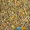 BusyBeaks Chicken Corn Extra (10L) 3