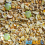 BusyBeaks Duck & Goose Mix (12.5kg) 1