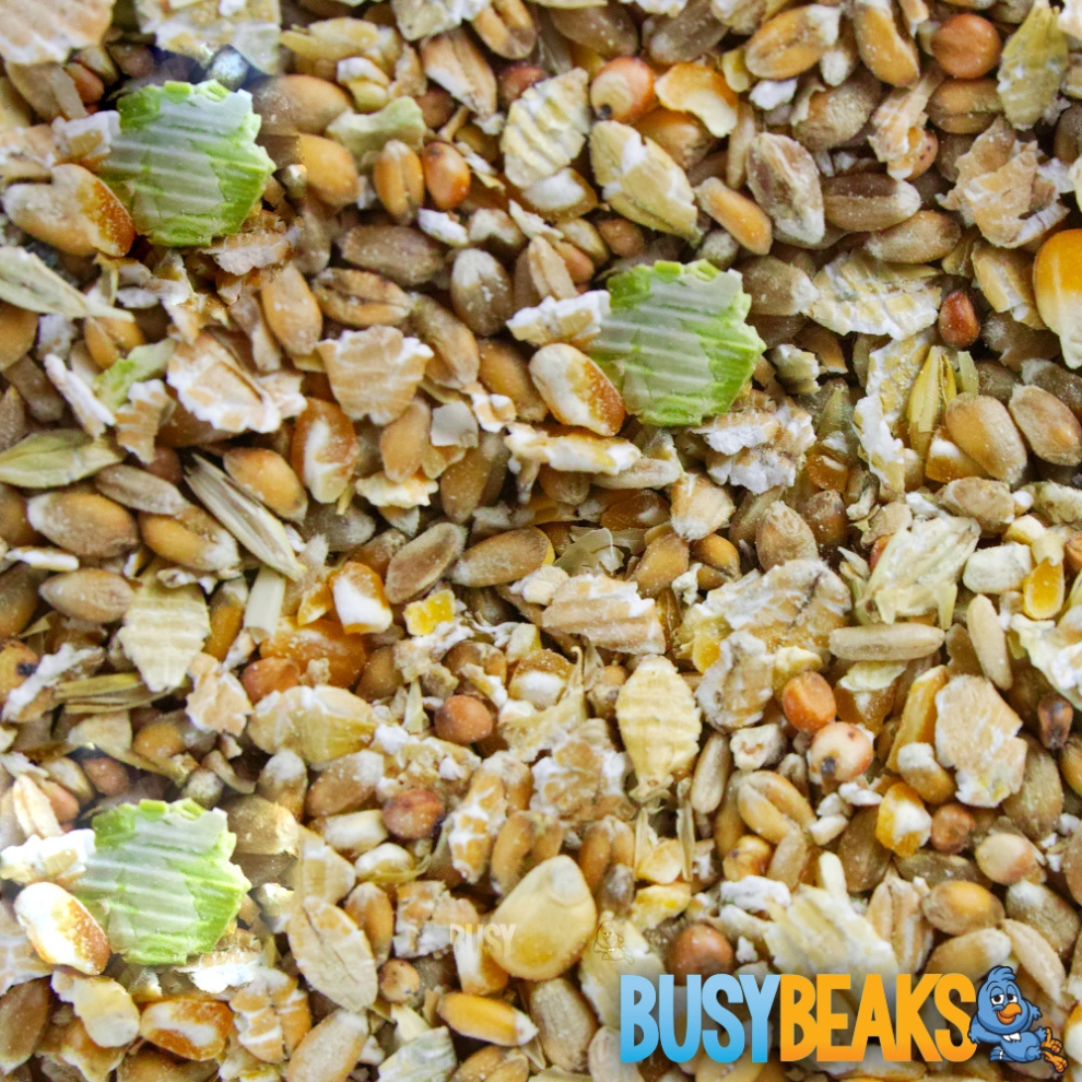 Busybeaks Duck & Goose Mix (12.5Kg)
