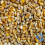 BusyBeaks Mixed Poultry Corn (5L) 5