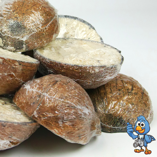 BusyBeaks Suet Filled Coconut Halves (120 Pack) 2