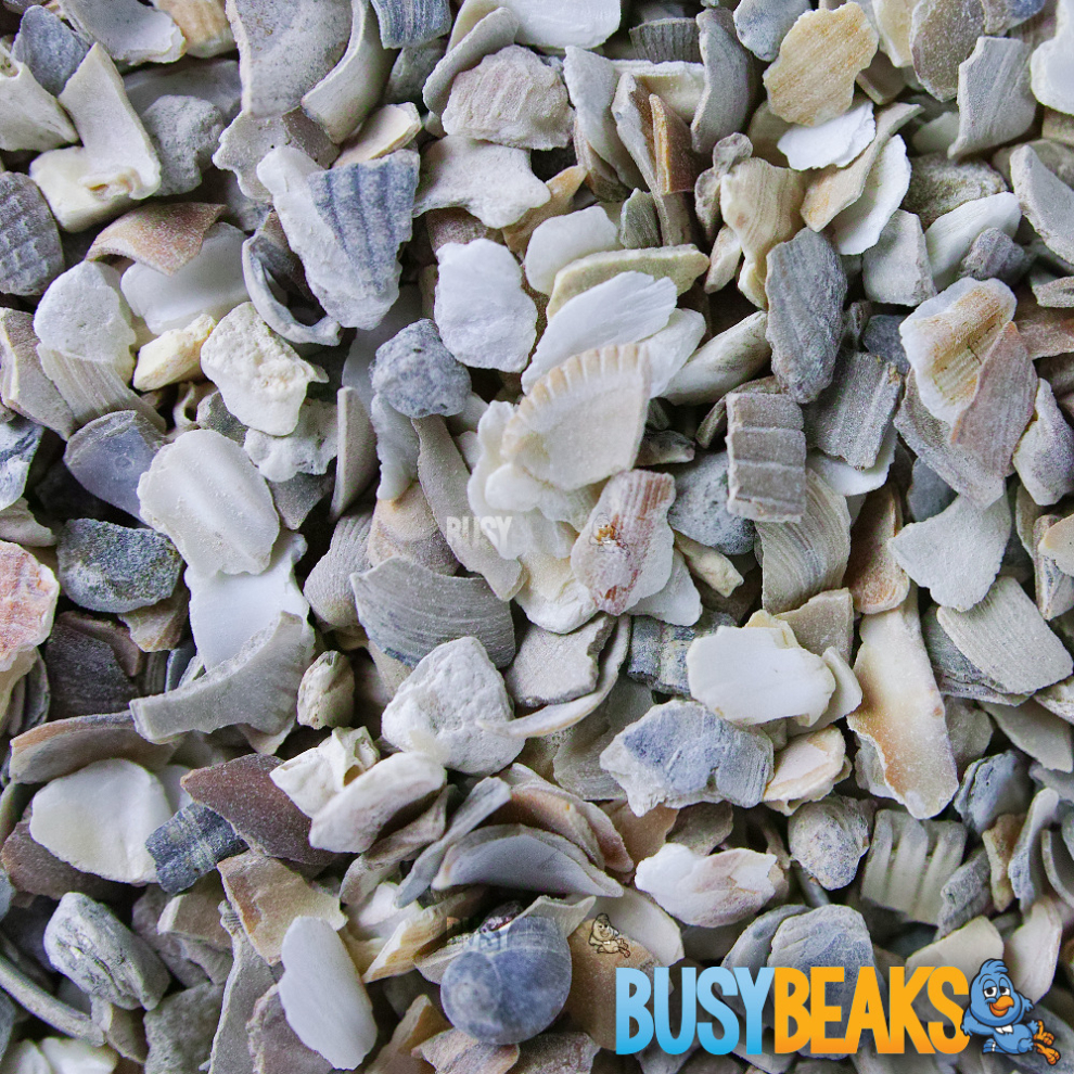 BusyBeaks Hen Sized Oyster Shell (10kg)