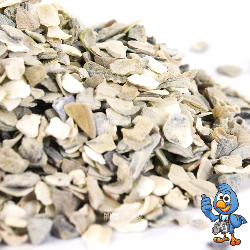BusyBeaks Hen Sized Oyster Shell (25kg) 2