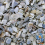 BusyBeaks Hen Sized Oyster Shell (1L) 5