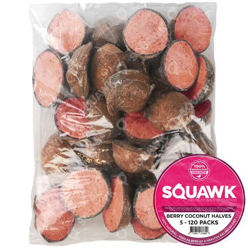 SQUAWK Berry Suet Filled Coconut Halves (15 Pack)