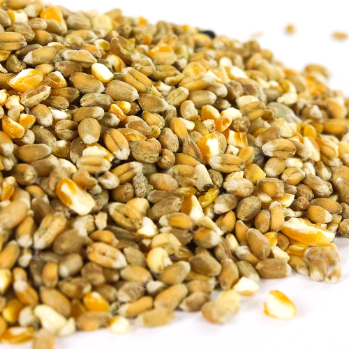 SQUAWK Mixed Poultry Corn (5L) 2