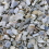 SQUAWK Hen Sized Oyster Shell (12.5kg) 5
